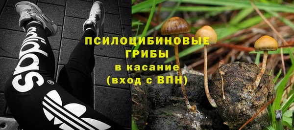 СК Богданович